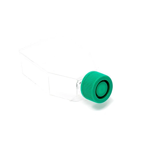 SPL Life Sciences SPL Cell Culture Flask 25 cm² (T25) Plug Cap Treated, Sterile, 200/Case