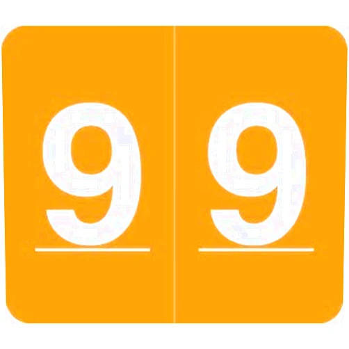 Www.filingsupplies.com V.A. Hospital/Barkley Systems Numeric Label - FNVAM Series (Rolls) - 9 - Orange