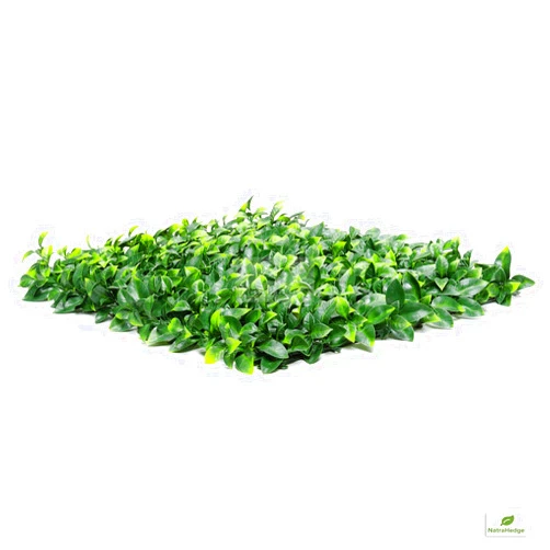 NatraHedge Artificial Ligustrum Ficus Hedge Mat 20