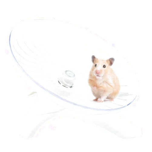 Nawhed Hamster Flying Saucer Silent Running Exercise Wheel for Hamsters, Gerbils, Mice,Hedgehog and Other Small Pets Silent Running Wheel Hamster Wheel (White)