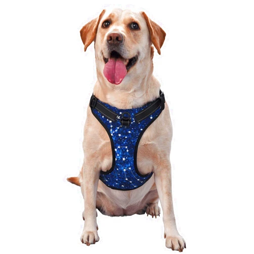 RIMENCH Zodiac Constellation Blue Galaxy Starry Night Stars Dog Harness No-Pull Pet Harness Adjustable Soft Padded Dog Vest Outdoor Pet with Easy Control Handle