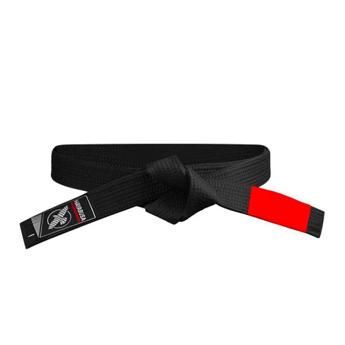 Hayabusa 2.0 Adult BJJ Belt - Premium Quality, IBJJF Compliant, Reinforced Double Stitching