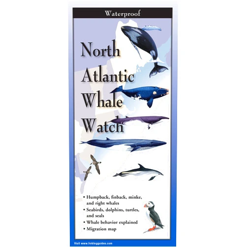 Steven Lewers & Associates North Atlantic Whale Watch: Folding Guide (Foldingguides)