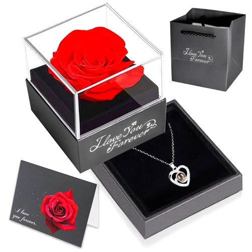 Namre' Preserved Real Red Rose with Necklace - Forever Eternal Rose Valentines Day Gift for Mom, Grandma, Wife, Girlfriend - Unique I Love You Gifts for Anniversary, Birthday, or Graduation