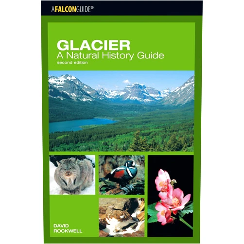 David Rockwell Glacier: A Natural History Guide (Falcon Guide)