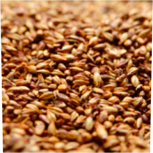 FerMonster Briess 2-Row Caramel 80L Malt 1 lb