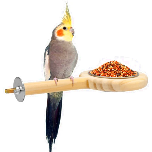 KATUMO Bird Perch Bird Feeding Cup Parrot Wood Perch Stand Toy Bird Cage Accessory for Parakeet Lovebird Conure Budgie Canary Finch Small Parrots