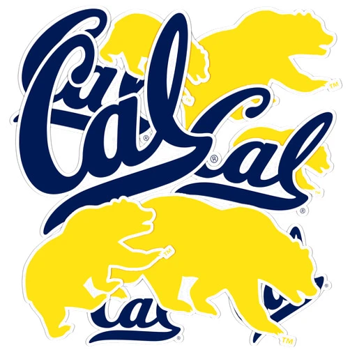 Desert Cactus University of California Berkeley Sticker Golden Bears Cal UC Stickers Vinyl Decals Laptop Water Bottle Car Scrapbook T1 (Type 1-1)