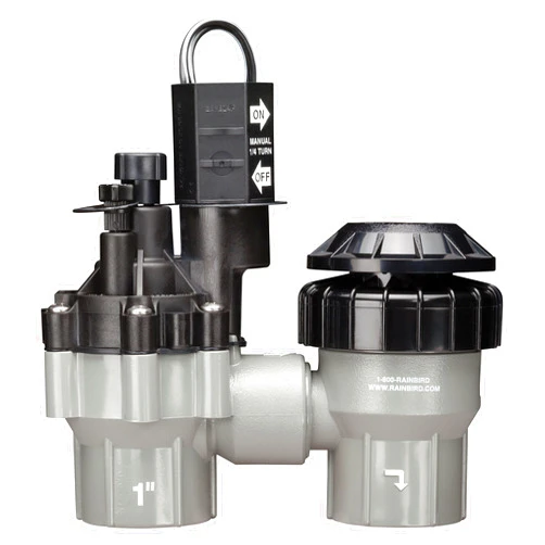 Rain Bird DASASVF100 Professional Grade Anti-Siphon Valve with Flow Control, 1