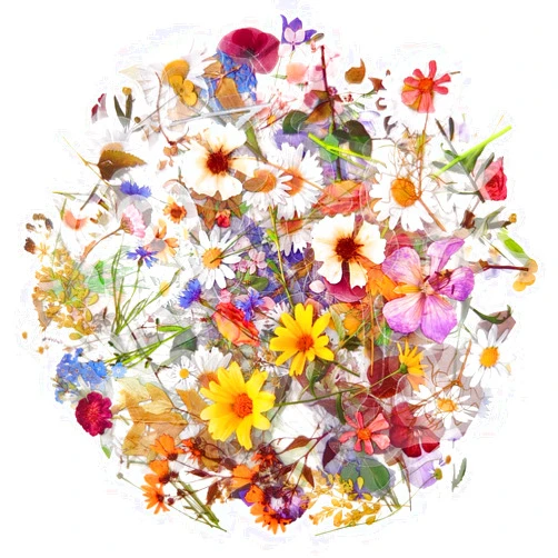 1000Art 120Pcs Botanical Flower Stickers for Scrapbook, Transparent Natural Floral Resin Decals Stickers for Journaling Planner Wrapping DIY Crafts Cards Album Water Bottles Phone Cases Laptops