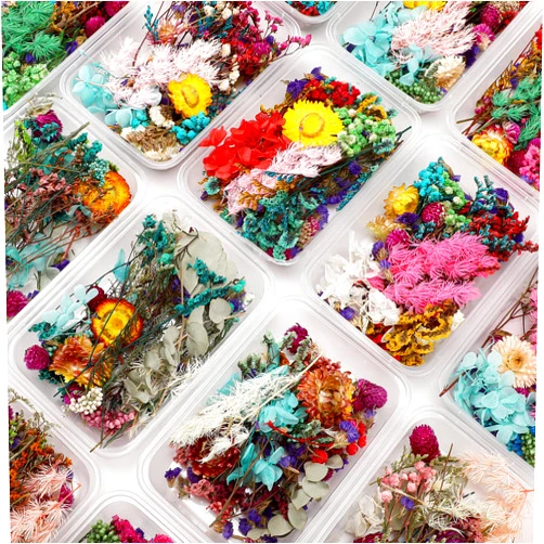 Coume Dried Flowers for Resin Mixed Pressed Dry Flower Leaves Multiple Natural Pressed Flower Real Mini Flowers for Crafts Colorful Handmade Dry Plants for Soap DIY Jewelry Pendant Floral Decors (12 Boxes)