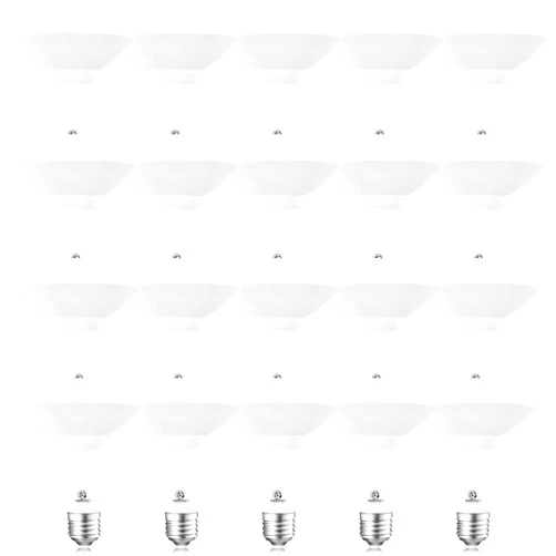 Energetic Lighting Energetic LED BR30 Flood Light Bulbs Indoor, Daylight 5000K, Dimmable, 65 Watts Recessed Light Bulbs for Cans, 650 Lumen, ETL Listed, 20 Pack