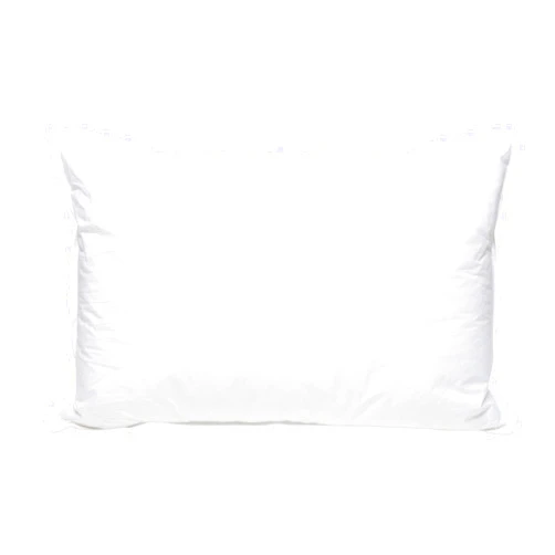 Pillowtex High End White Goose Down Soft Pillow Standard