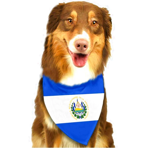 Fengyaojianzhu Flag of El Salvador Dog Bandana Collars Triangle Neckerchief Bibs Scarfs Accessories Pet Cats and Baby Puppies Saliva Towel