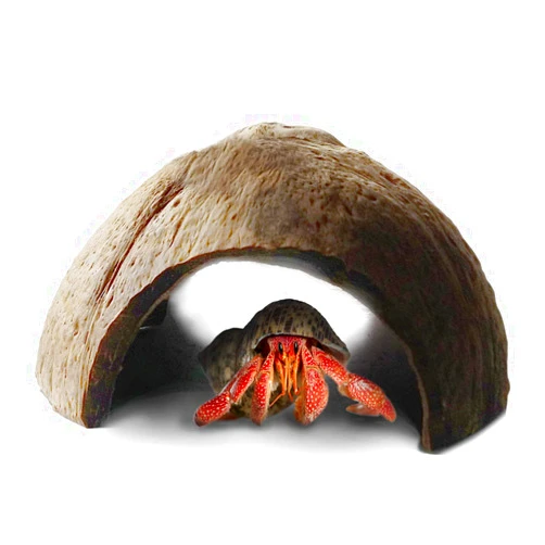 SunGrow Hermit Crab Huts, 5x3 Inches, Arthropod's Coconut Hide, Spacious Coco Tunnel, Use as Hermit Cave or Climber, 1-Pc