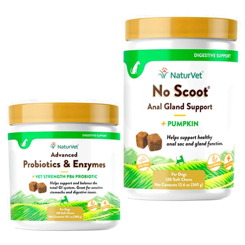 NaturVet Advanced Probiotics, Healthy Enzymes and PB6 Probiotic Supplement for Your Dogs Stomach, 120 Soft Chews & No Scoot for Dogs - 120 Soft Chews - Supports Healthy Anal Gland & Bowel Function