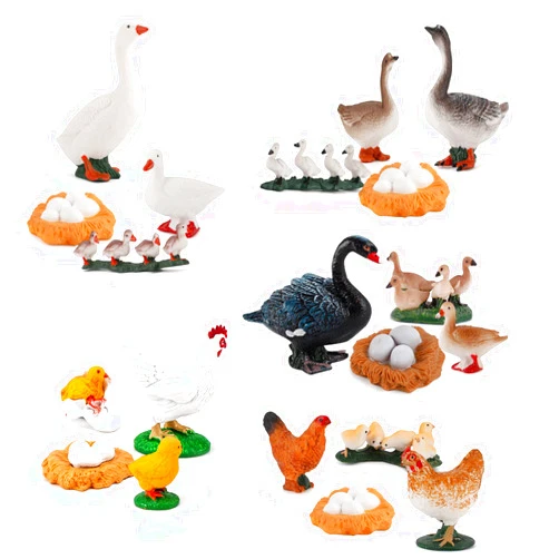 LC JoyCre 5 Pack Life Cycle Set Farm Animals Growth Cycle Chicken Duck Goose Rooster Hen Grey Goose White Swan Black Swan