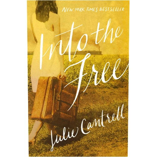 Julie Cantrell Into the Free