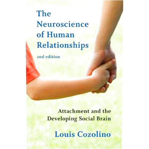 Louis Cozolino The Neuroscience of Human Relationships: Attachment and the Developing Social Brain (Norton Series on Interpersonal Neurobiology)