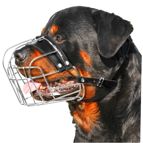 CleverTail Extra Large Dog Muzzle for Rottweiler – XL Heavy Duty Rottweiler Muzzle – Metal Large Dog Muzzle for Barking and Biting for Rottweiler, Cane Corso, Mastiff and Other Large Breeds