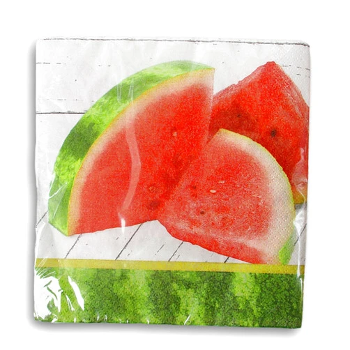 Show-Offs Watermelon Summer Party Supply - Pool Party Dinner Napkins - 16 Ct