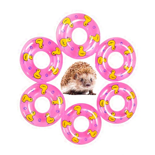 OCHSTIN 3.74 Inch Small Animal Hedgehog Fancy Mouse Bath Collar Ring Yellow Duck Transparent Swimming Rings Hamster Swim Life Jacket Float Coat Photo Shoot Toy Cage Accessories(6 Pack) (Pink)