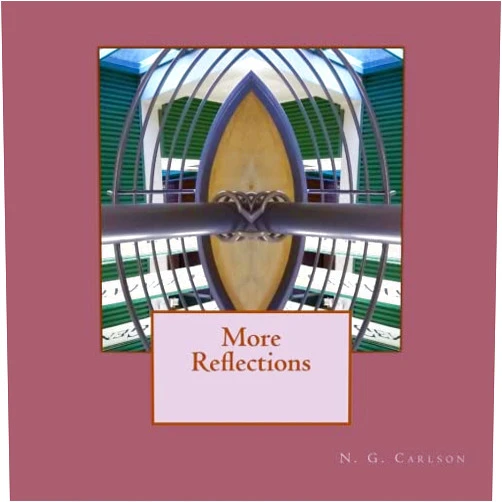 By N. G. Carlson (Author) More Reflections