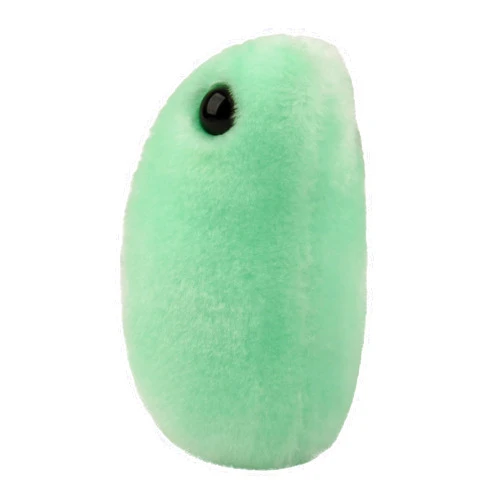 GIANT MICROBES GIANTmicrobes Flu Plush –Learn About Your Respiratory System with This Fun get Well Gift for Friends, Family, Students, Doctors, Nurses and Scientists