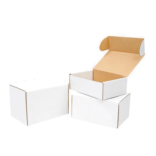 Vacclo White Corrugated Cardboard Mailing Boxes, Pack of 50, Crush-Proof, for Shipping, Mailing and Storing (6L