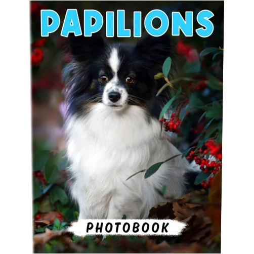 By Robert Howard (Author), Howard (Author) Papilions Photo Book: Toy Dog of Singular Beauty for Women, Girls and Anyone to Love | With 40+ Pages High Quality Pictures for Relaxation