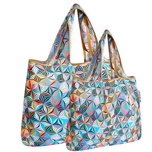 allydrew Large & Small Foldable Tote Nylon Reusable Grocery Bags, Set of 2