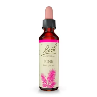 Bach Original Flower Remedies - Pine 20ml
