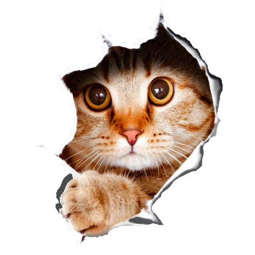 Winston & Bear 3D Cat Stickers 2 Pack - Peeking Cat Sticker for Wall, Fridge, Toilet and More - Retail Packaged Tabby Cat Decals
