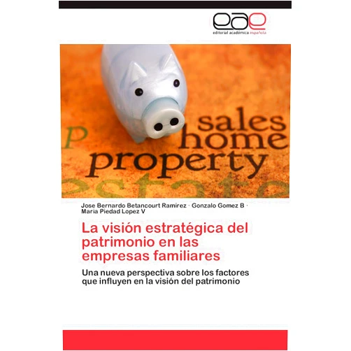 Spanish Edition by Jose Bernardo Betancourt Ramírez (Author), Gonzalo Gomez B (Author), Maria Piedad Lopez V (Author) & 1 more La visión estratégica del patrimonio en las empresas familiares: Una nueva perspectiva sobre los factores que influyen en la visión del patrimonio (Spanish Edition)