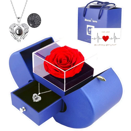Moshen Preserved Real Rose with I Love You Necklace 100 Languages, Gifts for Girlfriend, Women, Mom, Wife, Gifts Idea on Christmas, Valentine's Day, Mother's Day, Birthday, Anniversary, Thanksgiving