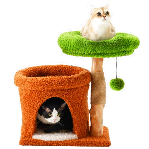 FUKUMARU Small Cat Tree, Plant Style Kitten Tower with Unique Solid Wood Cat Scratching Post, Cute Cat Condo Scratcher with Soft Bed for Indoor Kitten & Cats
