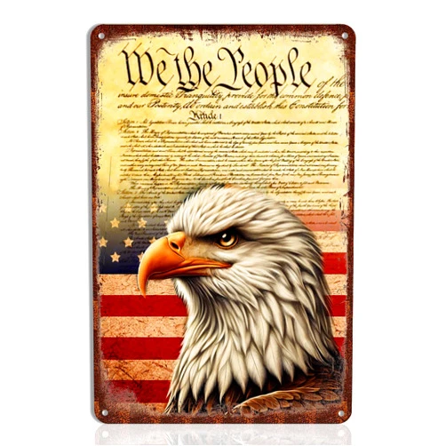 Keowhsf Patriotic Eagle Tin Sign - We the People Declaration of Independence Metal Wall Art, American Flag Decor for Veteran Tribute, Garage, or Home, 8