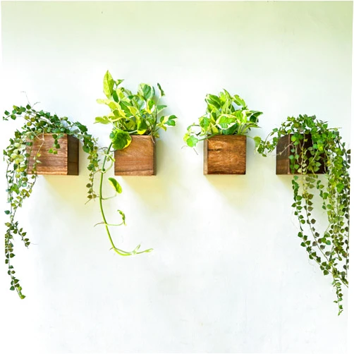 LáLáGreen LaLaGreen Wood Planter Boxes (4 Pack, 4x4 Inch) Small Square Wooden Wall Mounted Flower Pot for Indoor Plants, Window Box Mount Hanging Herb Planters Outdoor Plant Holder Vertical Garden Home Decor