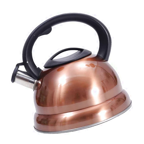 DOITOOL 1pc Kettle Camping Water jug Electric Tea pots Boiled Teapot Whistling Coffee Pot Water Boiling Container Cordless Whistle Heater honk Make Tea Small Furnace 201 Stainless Steel