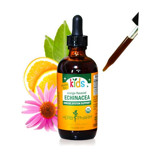 Herb Pharm Kids Certified-Organic Alcohol-Free Echinacea Glycerite Liquid Extract, 4 oz