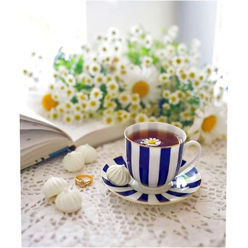 Lomonosov Russia Lomonosov Porcelain Bone China Tea/Coffee Cup and Saucer Cobalt Blue Yes and No 6 oz/180 ml