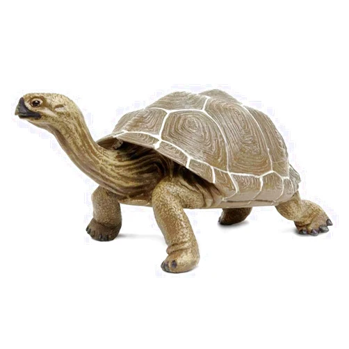 Safari Ltd. Tortoise Figurine - Detailed 8.5