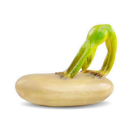 Georgetown Home & Garden Miniature Yoga Frog in Down Dog Pose Garden Decor