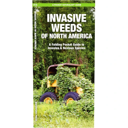 By James Kavanagh Waterford Press (Author), Waterford Press (Author), Raymond Leung (Illustrator) & 0 more Invasive Weeds of North America (Nature Observation North America)