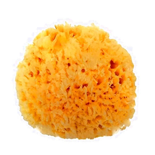 Spa Destinations Natural Sea Wool Sponge 5-6