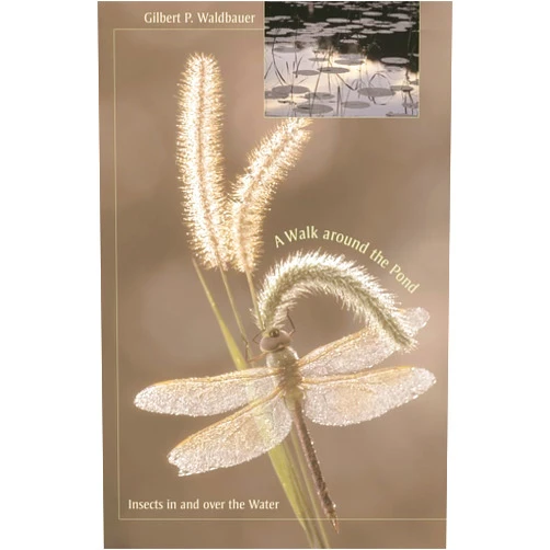 Gilbert Waldbauer A Walk around the Pond: Insects in and over the Water
