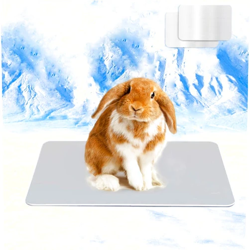 HzNzYHD 2 Pack Rabbit Cooling Pads - 11.8 x 7.9 in,Self Cool Bite Resistance Bunny Cooling Plate Ice Bed Mat for Hamster Guinea Pig Chinchilla Kitten Puppy Small Animals