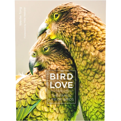 Wenfei Tong,Mike Webster Bird Love: The Family Life of Birds