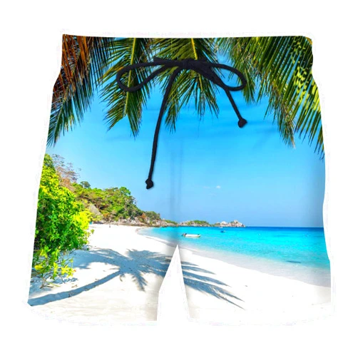 Generic Men Bathing Men's Quick-Drying Surfing Plus Size Pants Shorts Men's Pants Shirt and Shorts Set Men Swim Suits for