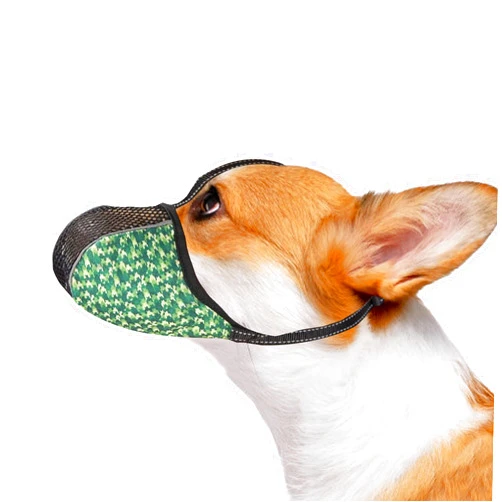JOYPAWS Dog Muzzle for Small Dogs Anti Biting Chewing Barking Soft Air Mesh Muzzles Reflective Ajustable Full Coverage Dog Mouth Guard Cover for Grooming Scavenging Green S